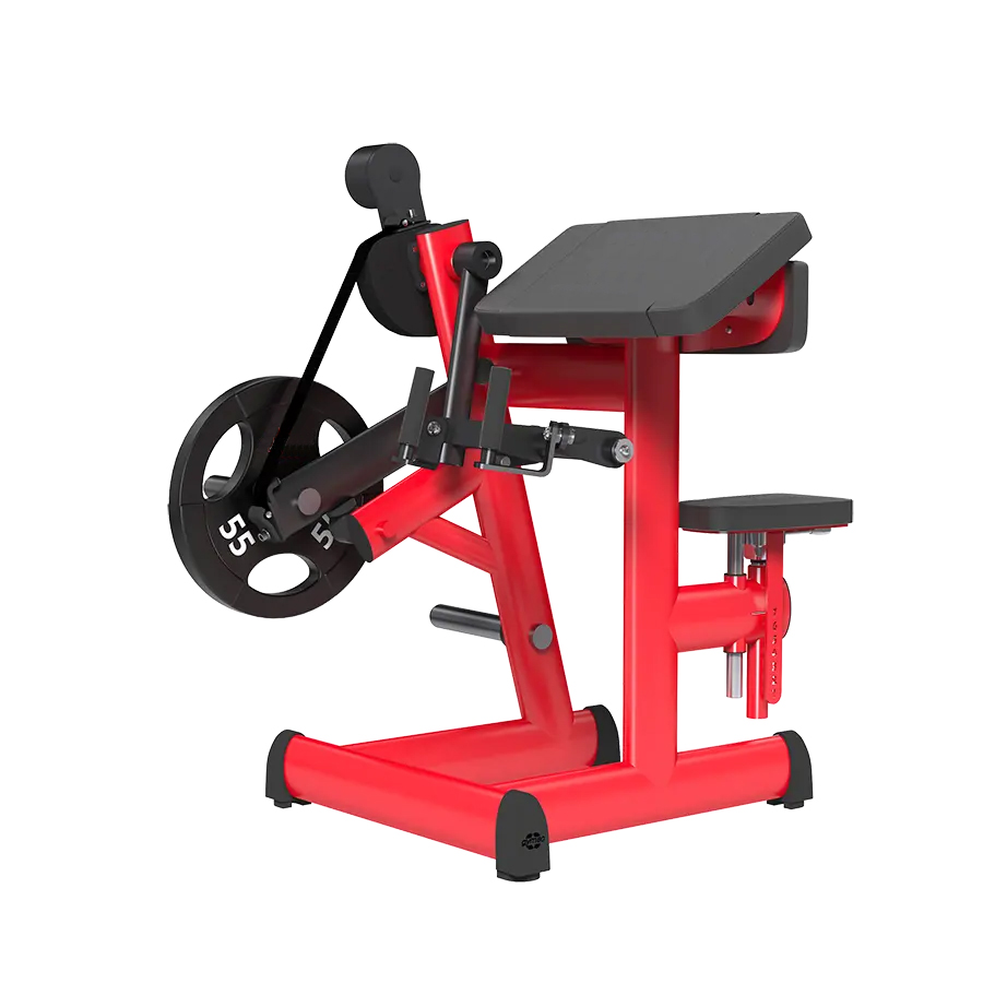 Equipo de Fitness cargado con  - Heavy Equipment Safety Training reseña y precio